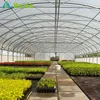 Commercial Tunnel Green Houses For Agriculture in China