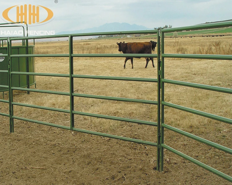 cheap cattle panels