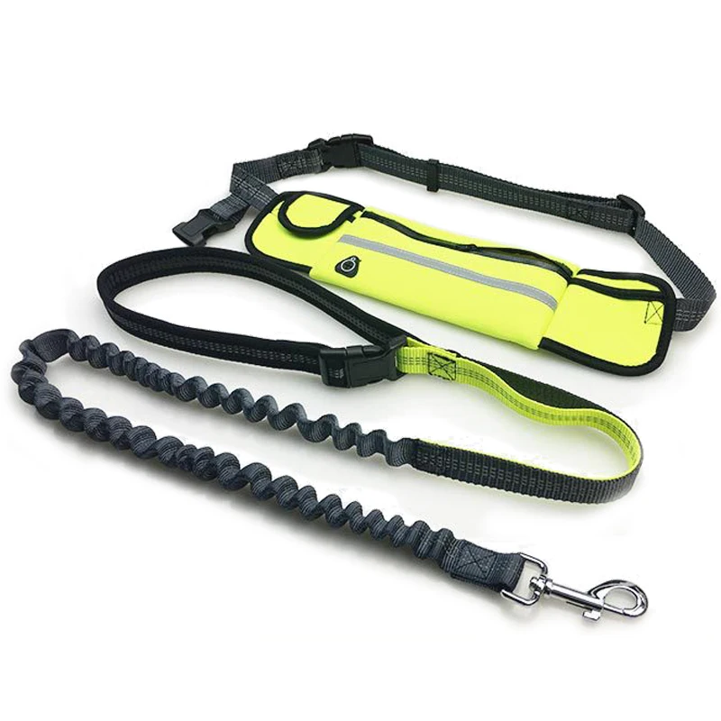 

2017 Hot Selling Private Label Pet Products Heavy Duty Double Retractable Hands Free Waist Dog Leash, Green;orange;blue;black