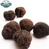 /product-detail/detan-wild-black-fresh-tuber-magnatum-truffle-price-60729971396.html