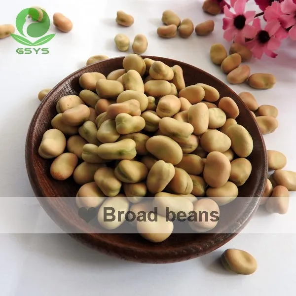 
Chinese broad beans fava beans 40-50 beans/100g Qinghai origin 