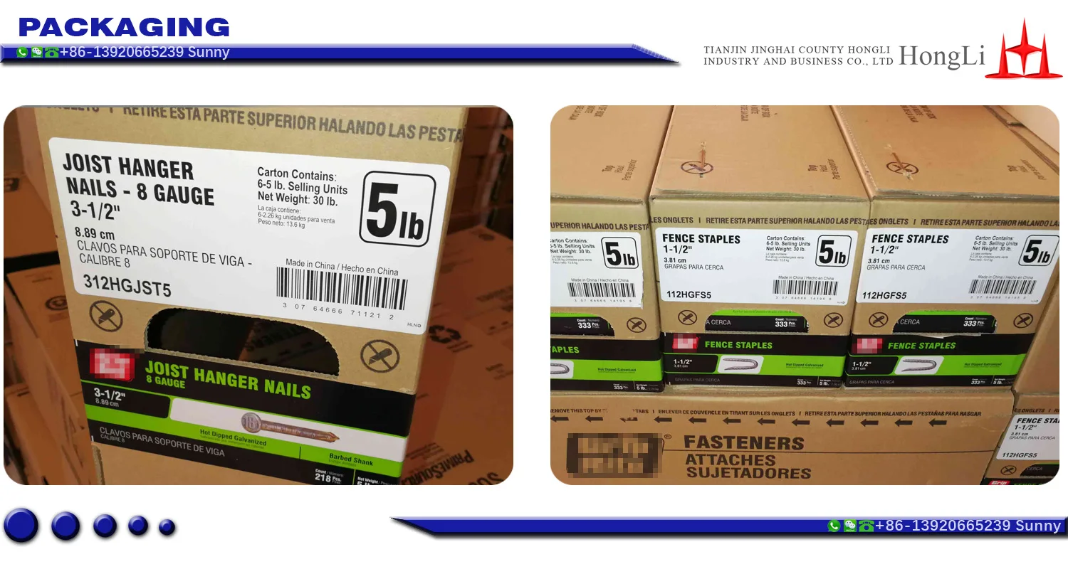 COMMON WIRE NAILS 5lb