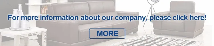 detail2_13 | bed | sofa | leather bed | fabric bed | leather sofa | fabric sofa | coffee table | dining chairs | dining table | Mattress | TV Stand | Teapoy | Soft Bed | Tea Table