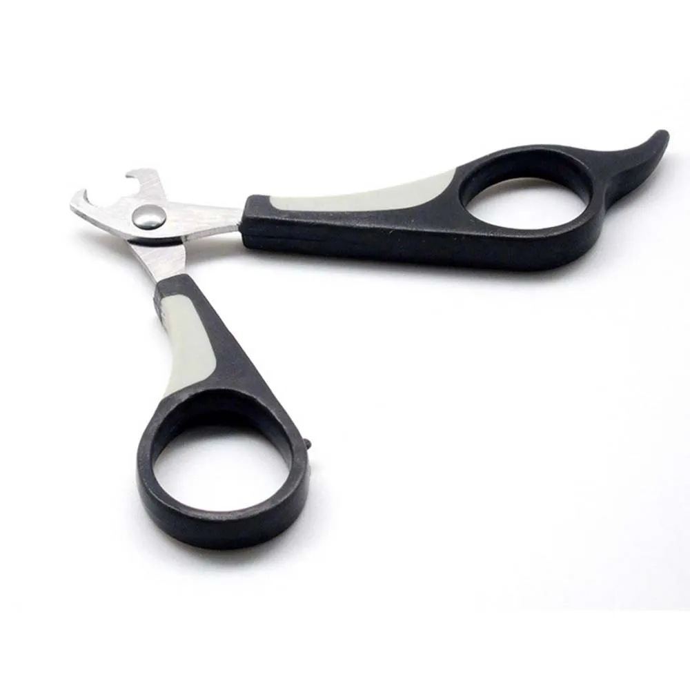 zj-pnc-1k-01 (3).jpg