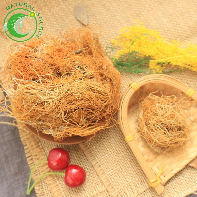 Lethariella Cladonioides (5).jpg