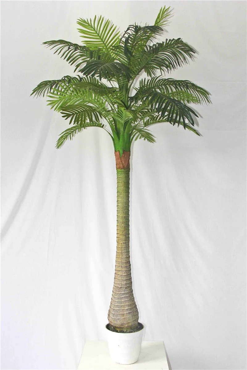 Mini Palm Tree Buy Bonsai Plastic Tree,Date Palm Trees,Artificial
