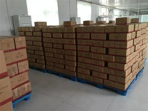 
bread dry yeast 500g 