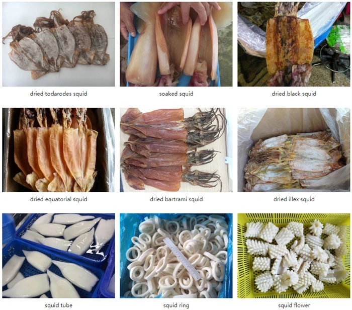 Processing products.jpg