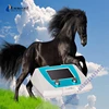 veterinary shock wave for racing horse equine shockwave therapy equipment