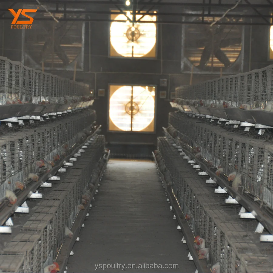 
Top Sale A Type Battery Broiler Cage for Chicken 