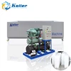 Small Scale 5 Tons Ice Block Machine Maker