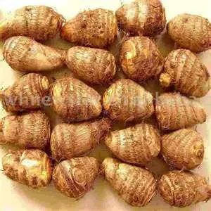
fresh taro in China 