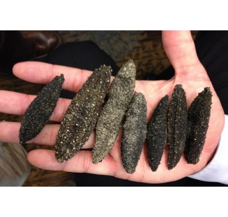 dried trepang sea cucumber