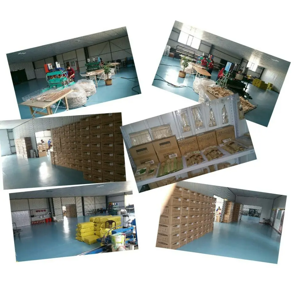 factory