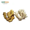 China fresh fresh organic ginger wholesale supplier