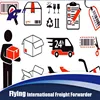 Dedicated trust worthy considerate service modern promotional air express from shanghai
