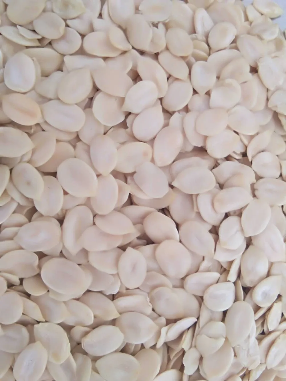 2019 新作物西瓜种子内核便宜价格高品质内蒙古工厂