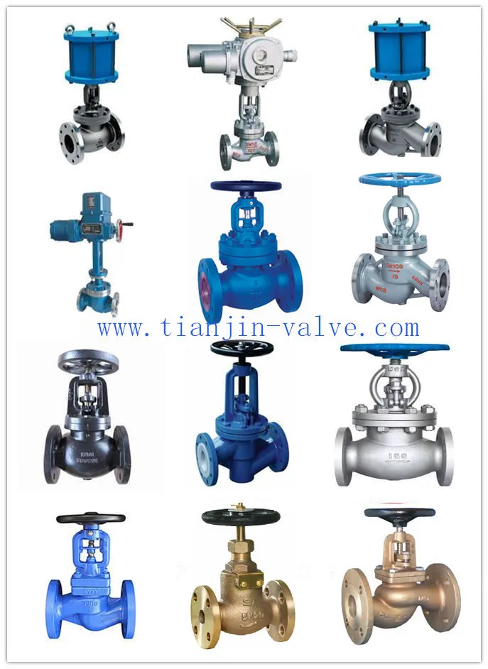 Din Standard Gs C25 Plug Disc/swivel Type Disc Full Bore Globe Valve