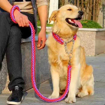 heavy duty dog collars and leashes