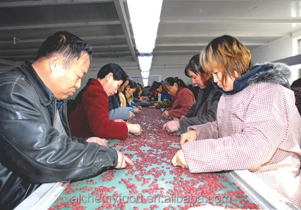 British red kidney beans 6.jpg