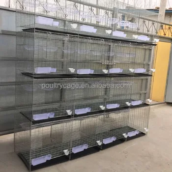 buy pigeon cage