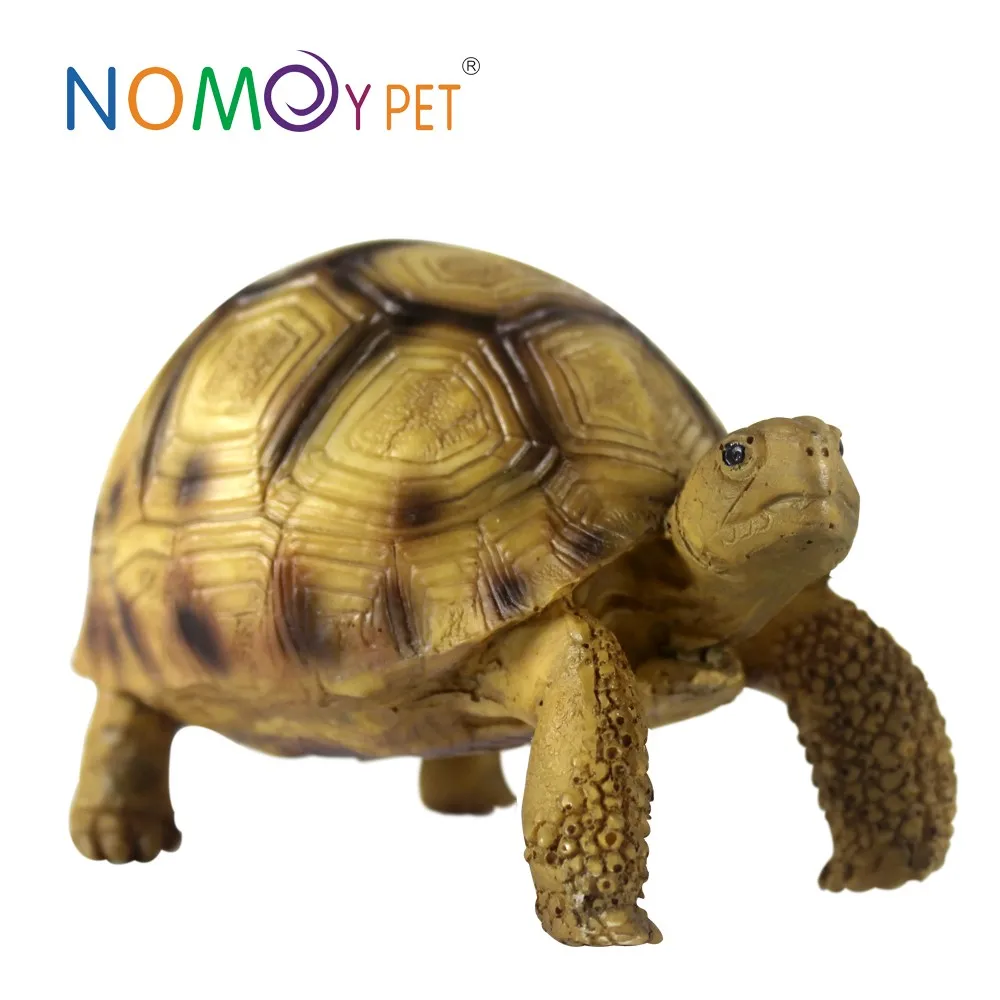 Nomoy Pet Wholesale Best Price Angonoka Tortoise Aquarium ...