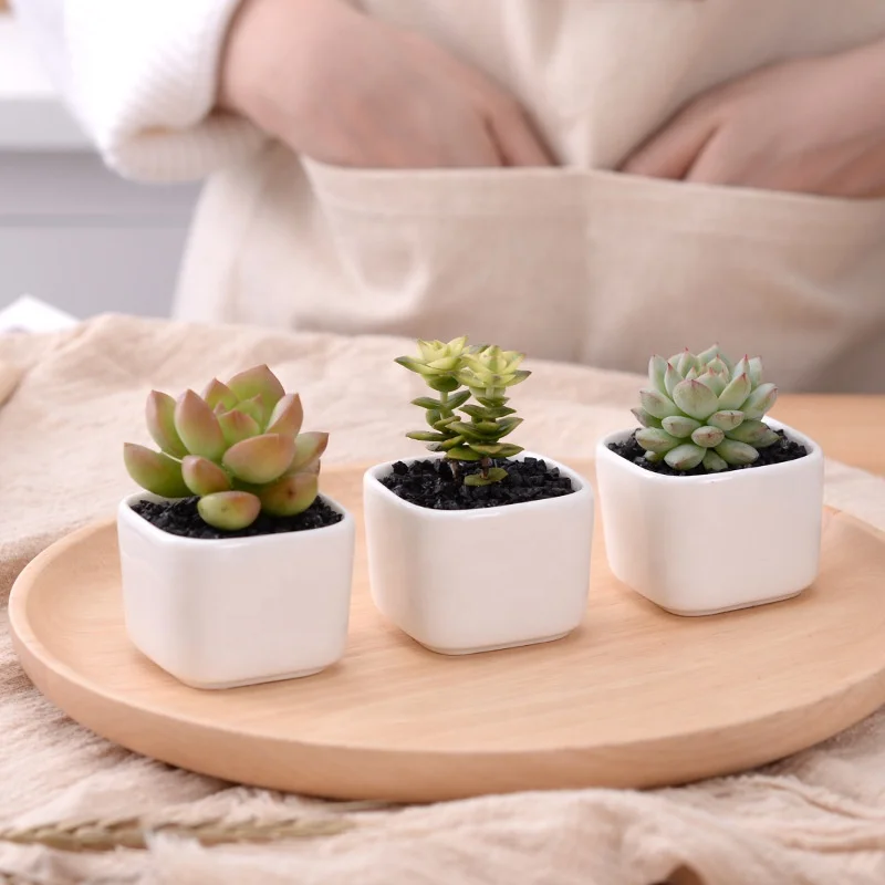
Simple rounded square mini fleshy plant ceramic flower pot 