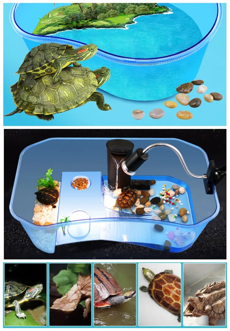 Tarief bijstand gastheer Plastic Schildpad Tub Schildpad Aquarium - Buy Schildpad Aquarium,Schildpad  Kooi,Schildpad Tub Product on Alibaba.com
