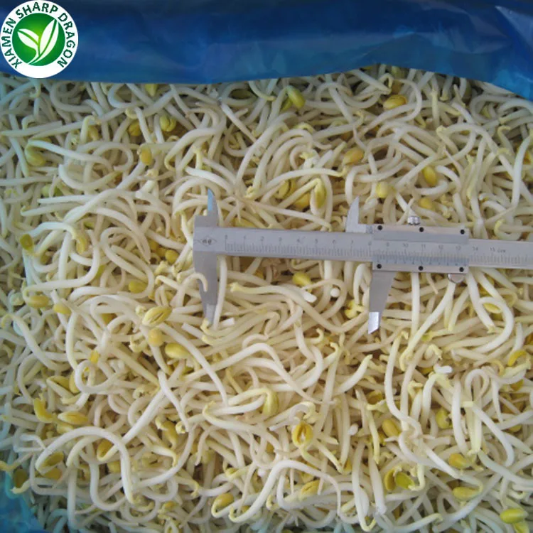 
IQF Greenhouse green frozen mung bean sprouts 