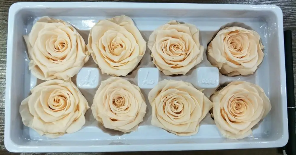 
Best Selling 4-5CM Preserved Roses Head for DIY Flower Box Gift Box 