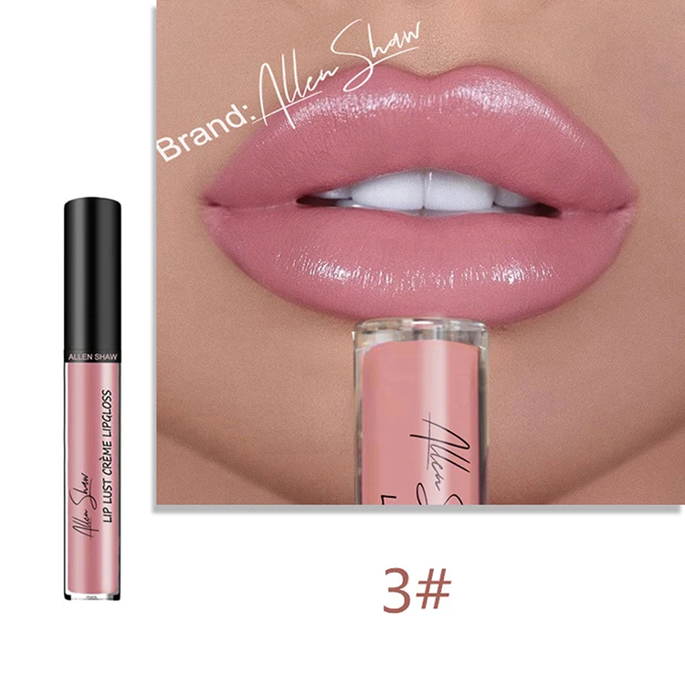 

Wholesale Women 12 colors Velvet Matte Surface Fade Private Label Waterproof glitter lip gloss lipgloss