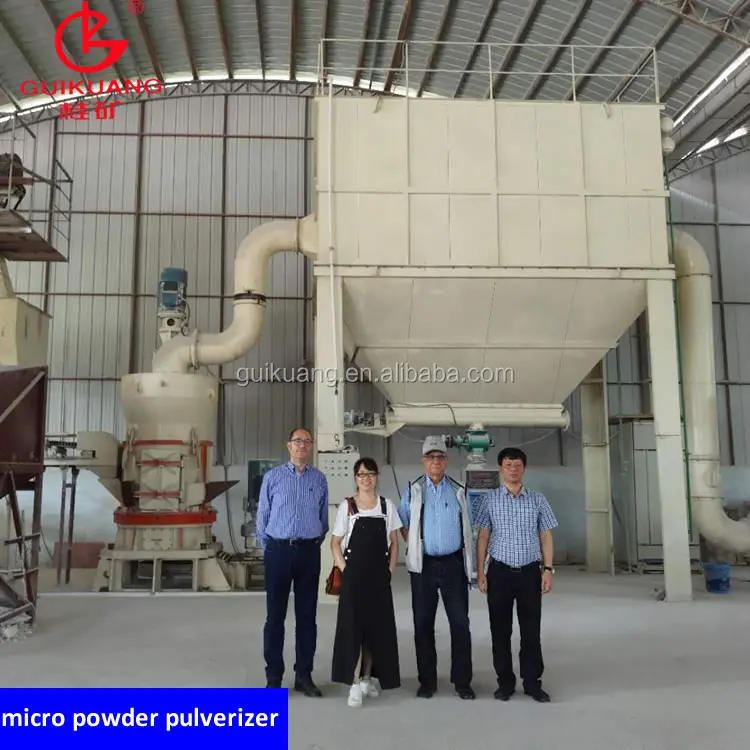China Famous Brand Guikuang High Quality Kaolin Powder Processing Plant