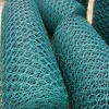 ISO9001 Hexagonal Chicken Wire Netting