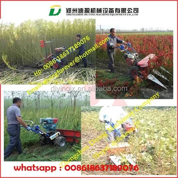 cheap grass cutting