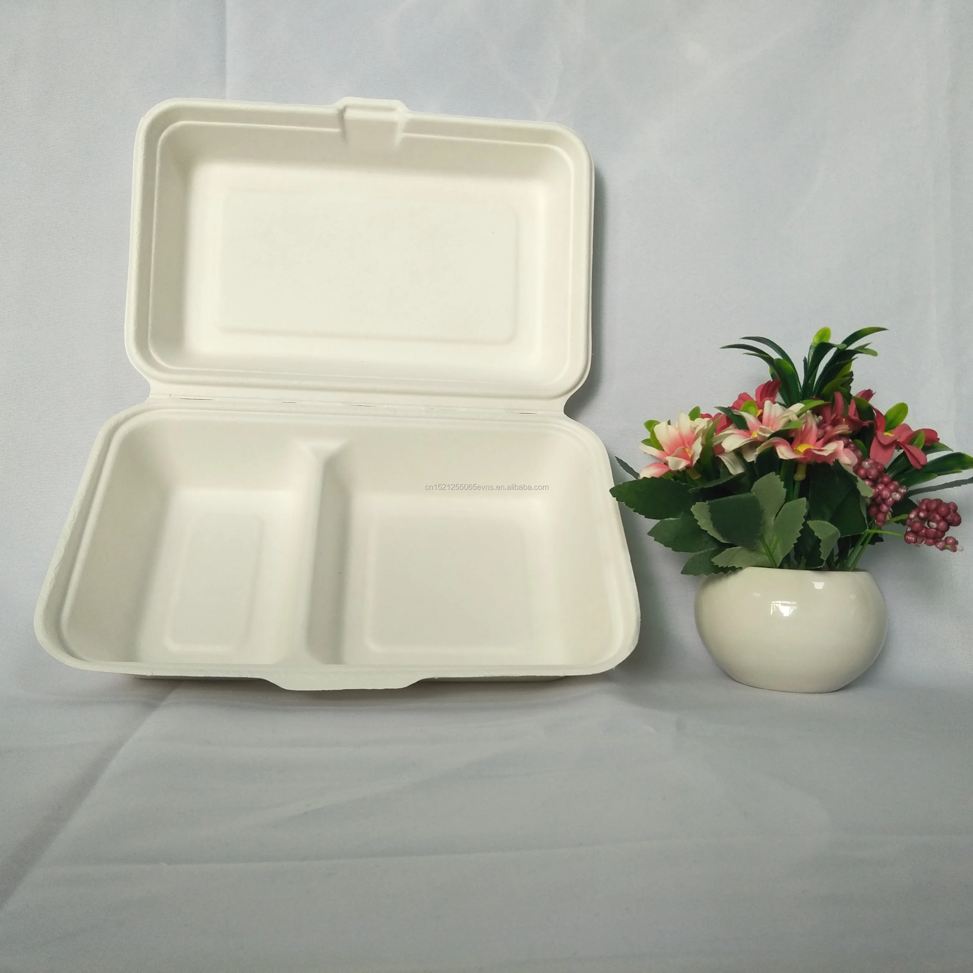 2 Compartment portable disposable paper pulp bento takeout box 1000ml fast food Lunch box