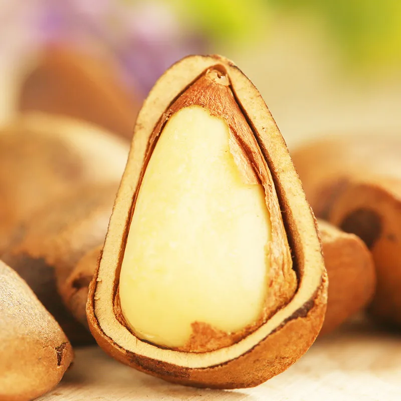 pine nut