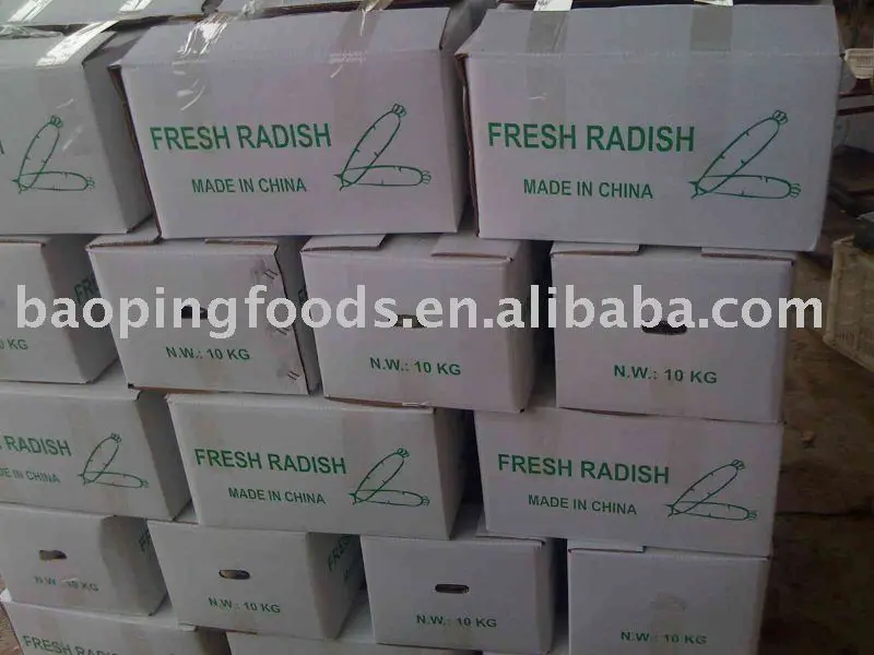 
fresh turnip in carton for sale 