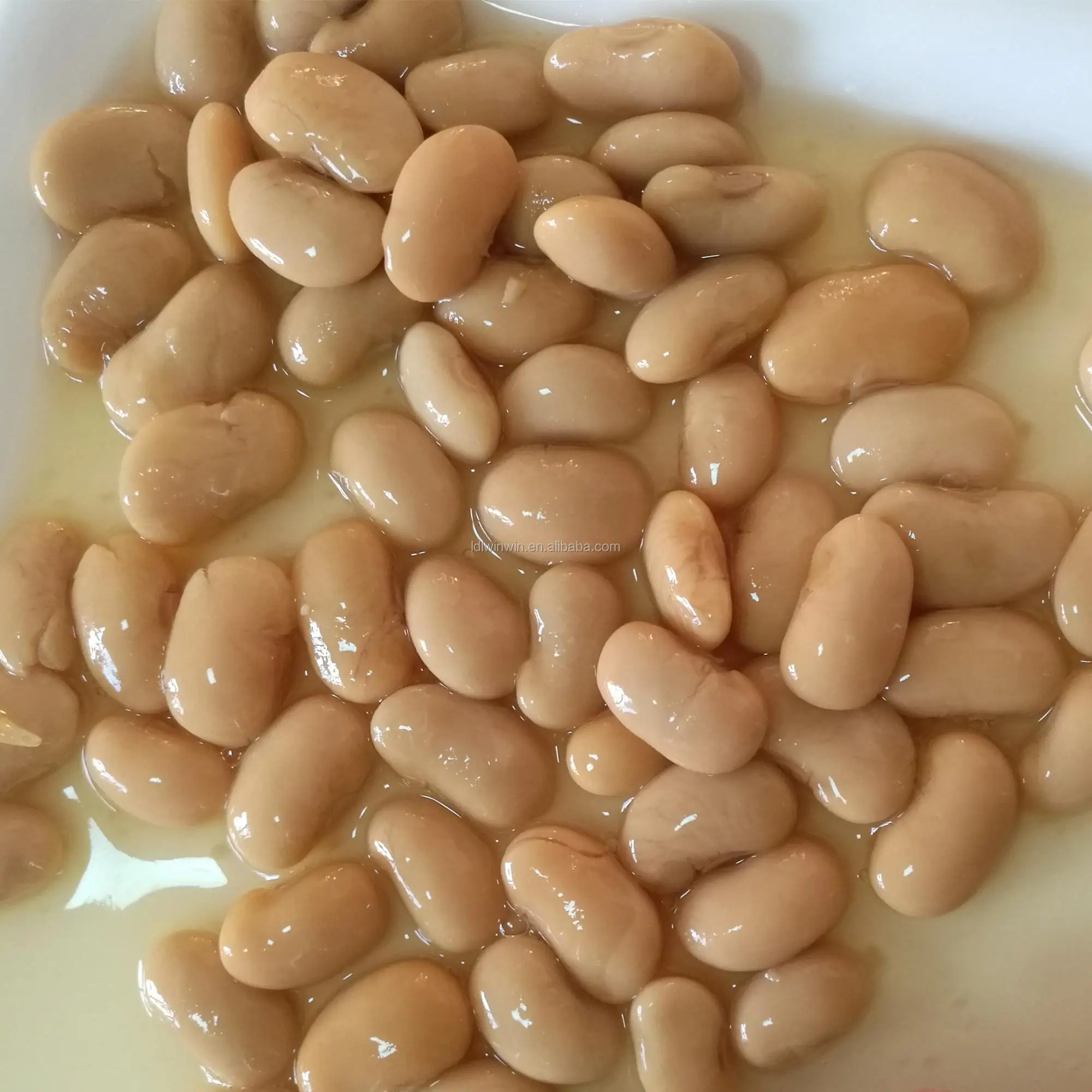 Canned White Kidney Beans Buy Red Kidney Beans,Types Of Kidney Beans