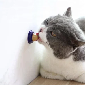 Image of 2018 new arrive nutrient solids Cat Snacks Catnip lollipop Candy Energy Ball