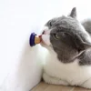2018 new arrive nutrient solids Cat Snacks Catnip lollipop Candy Energy Ball