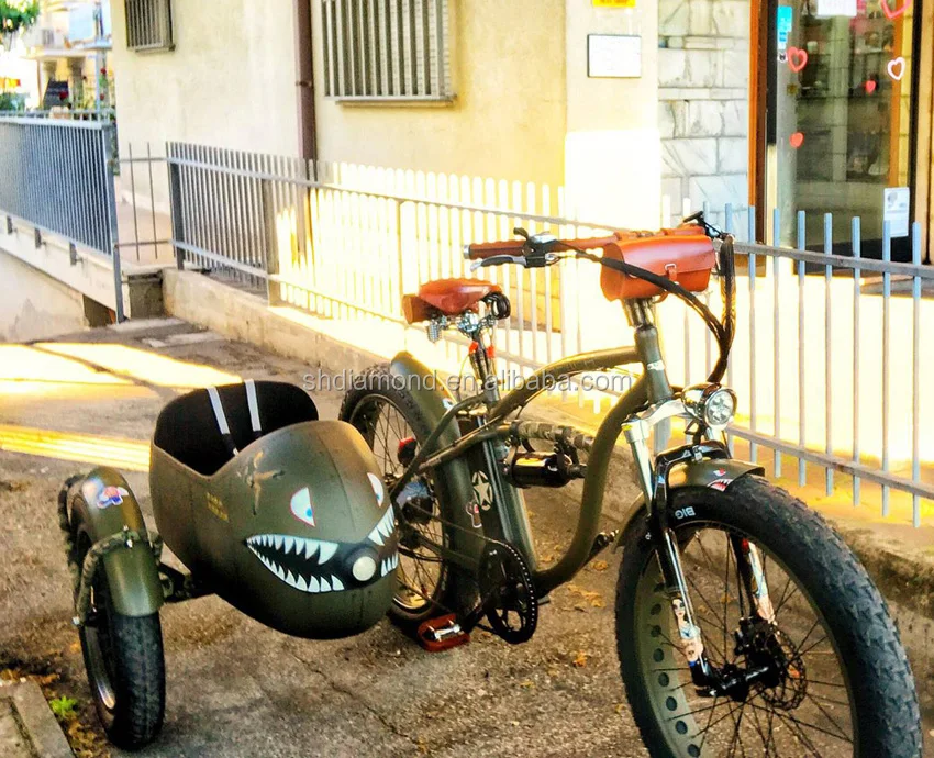 electric bike with sidecar