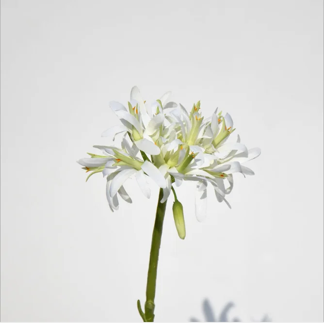 長い茎造花アガパンサス36 白いシルクの花 Buy 造花 人工アリウム花 人工アリウム花 Product On Alibaba Com