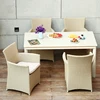 Modern Outdoor Garden Furniture Dining Room Restaurant Wicker Rattan Chair