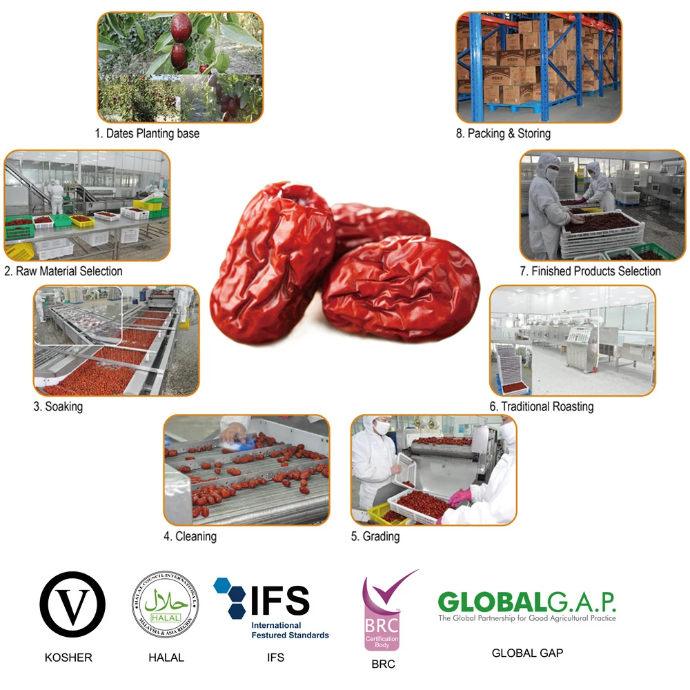 Chinese Dates Processing01.jpg