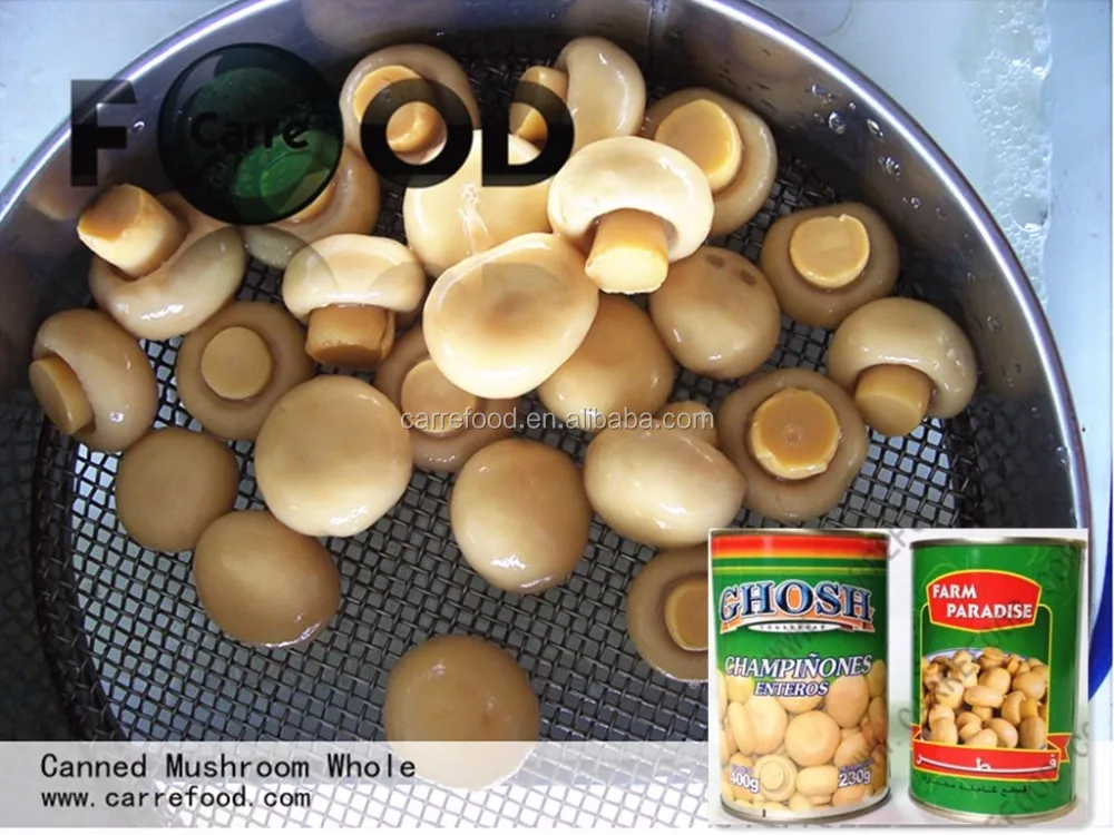 400g Sliced Mushrooms Canned / Canned Sliced Mushroom In Brine / Sliced