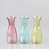 colored glass vase with round bottom
