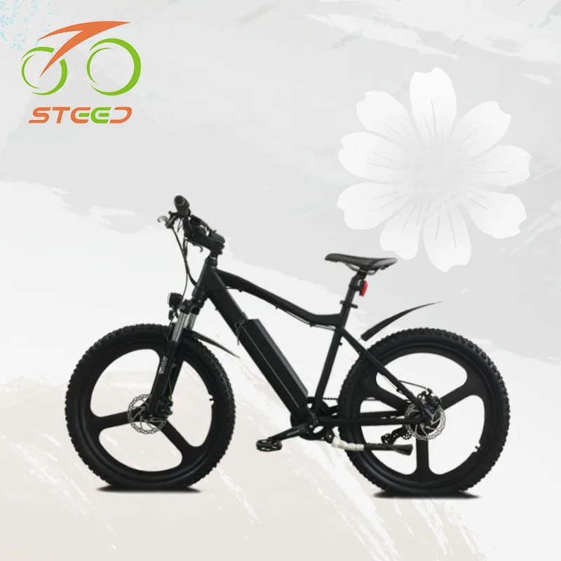 electric pedal dirt bike