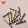 Common Polished Brass Finish Nail