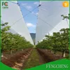 plastic woven for cherries /woven polytex fabric tarpaulin for agricultural and ground sheet fruit orchard coverage