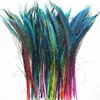Wholesale Colorful Dyed Peacock Feather and Natural peacock swords cut feathers